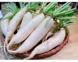 Củ cải trắng hữu cơ 