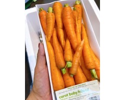 Cà rốt  giống Nhật 